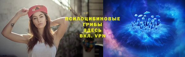 стаф Балахна