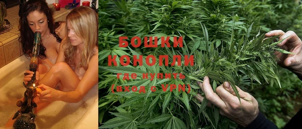 стаф Балахна