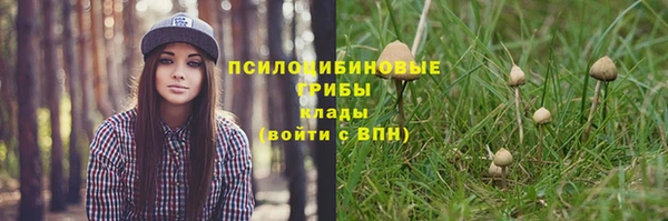 МДПВ Арсеньев