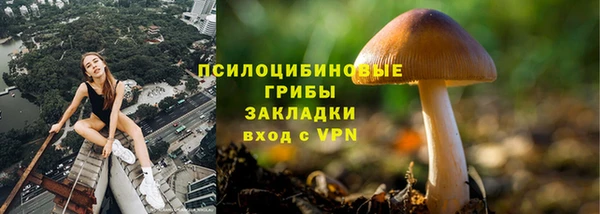 стаф Балахна