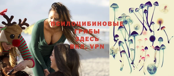 стаф Балахна