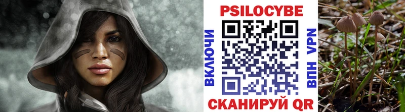 Псилоцибиновые грибы мухоморы  купить наркоту  Иланский 